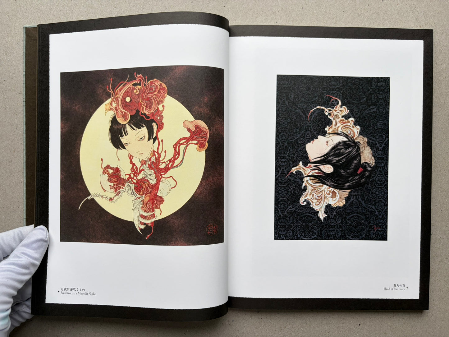 Open spread from Coffin of a Chimera with two full-page illustrations in black, white, and red.