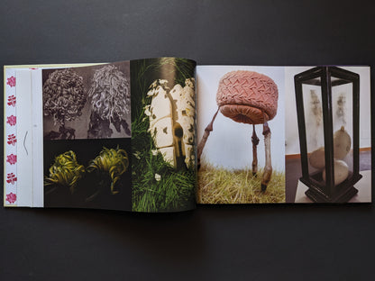 Photographic documentation of sculptures
