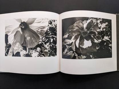 Close-up photograph of flowers in 1980s Remnants by Daido Moriyama