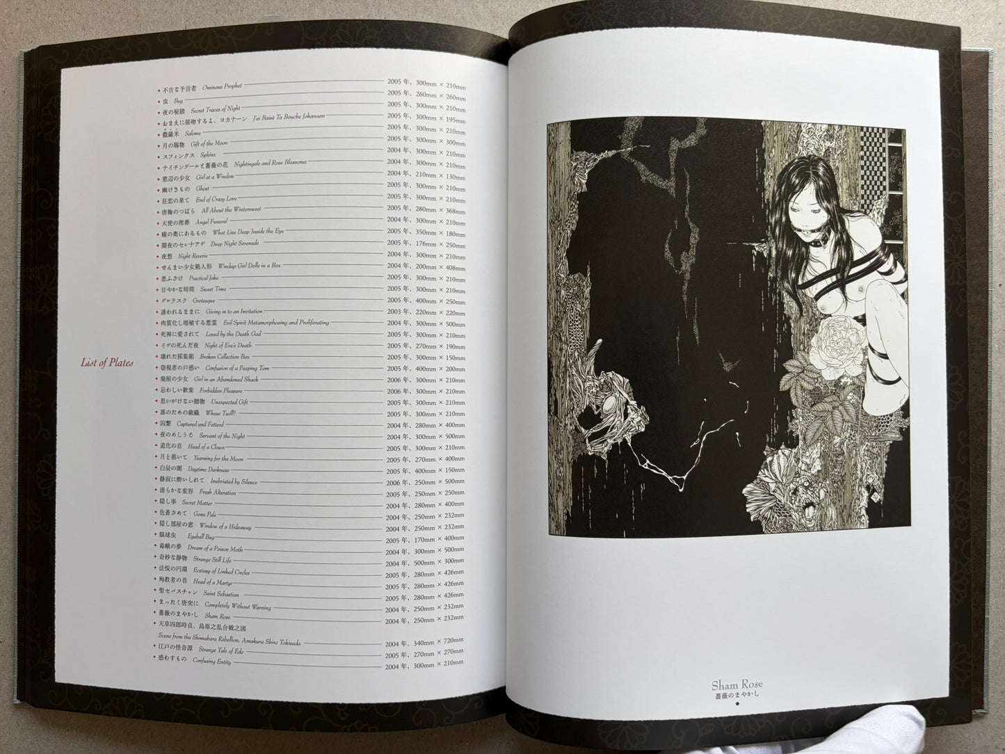 Divertimento for a Martyr – Takato Yamamoto New Black Edition, plate list and illustrated page