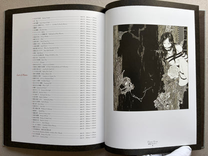 Divertimento for a Martyr – Takato Yamamoto New Black Edition, plate list and illustrated page