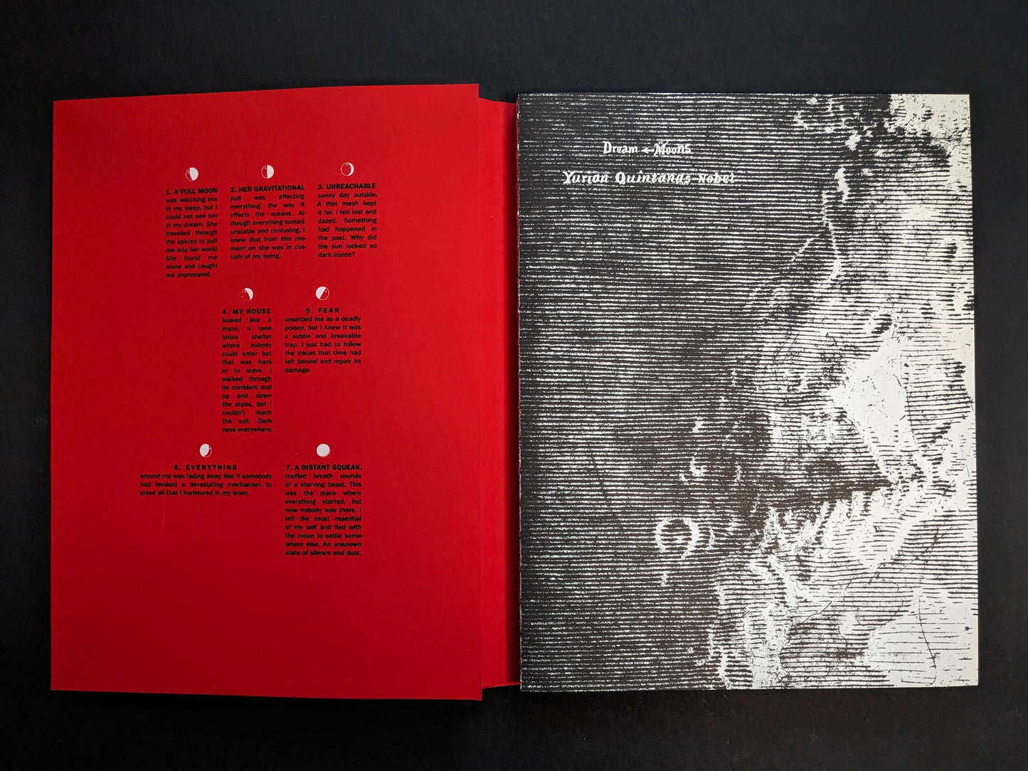 Open view with a red panel of moon-phase icons and text beside a black-and-white title cover for Dream Moons.