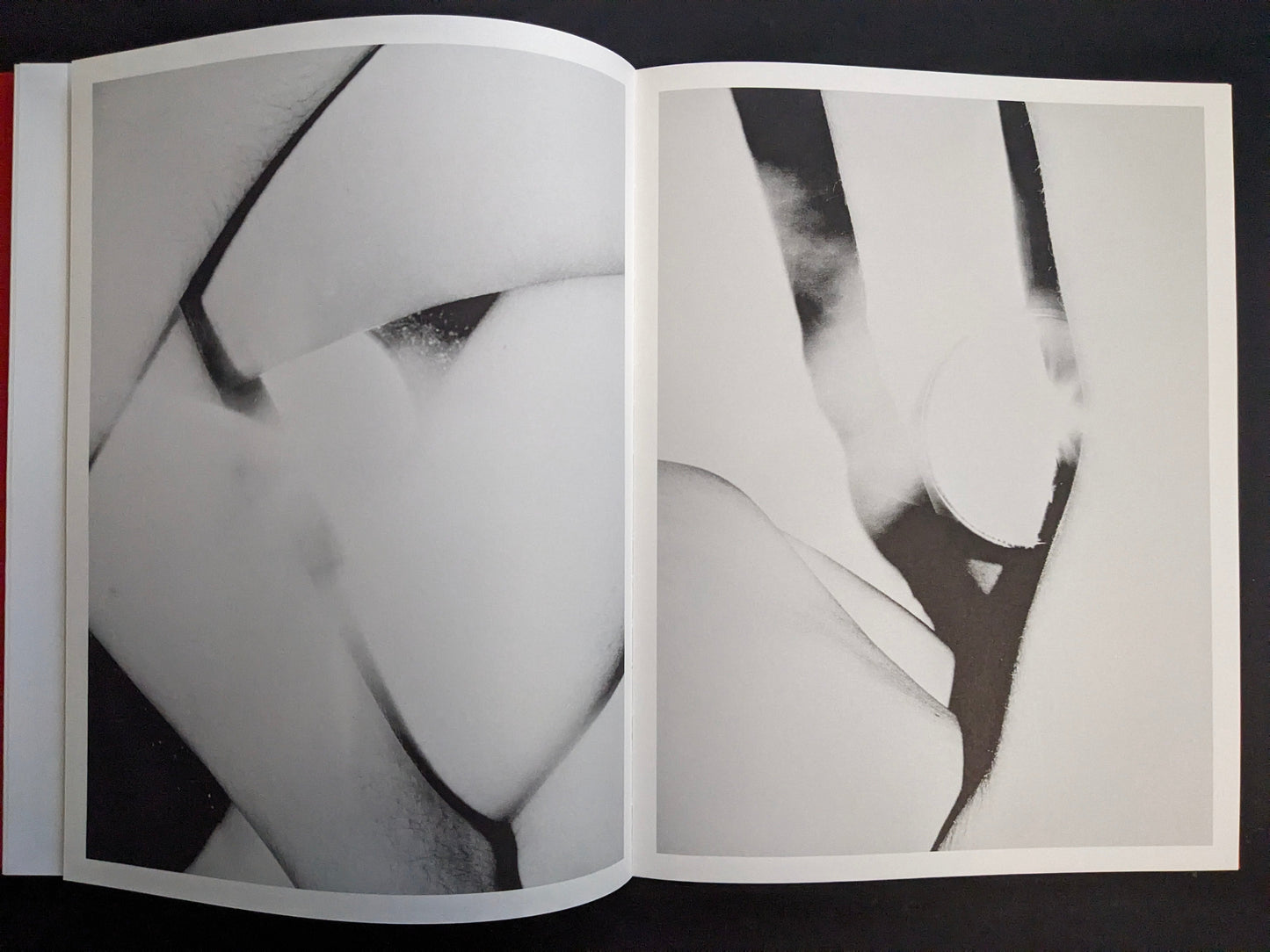 Interior spread with monochrome close-up artistic nude photographs (non-graphic).