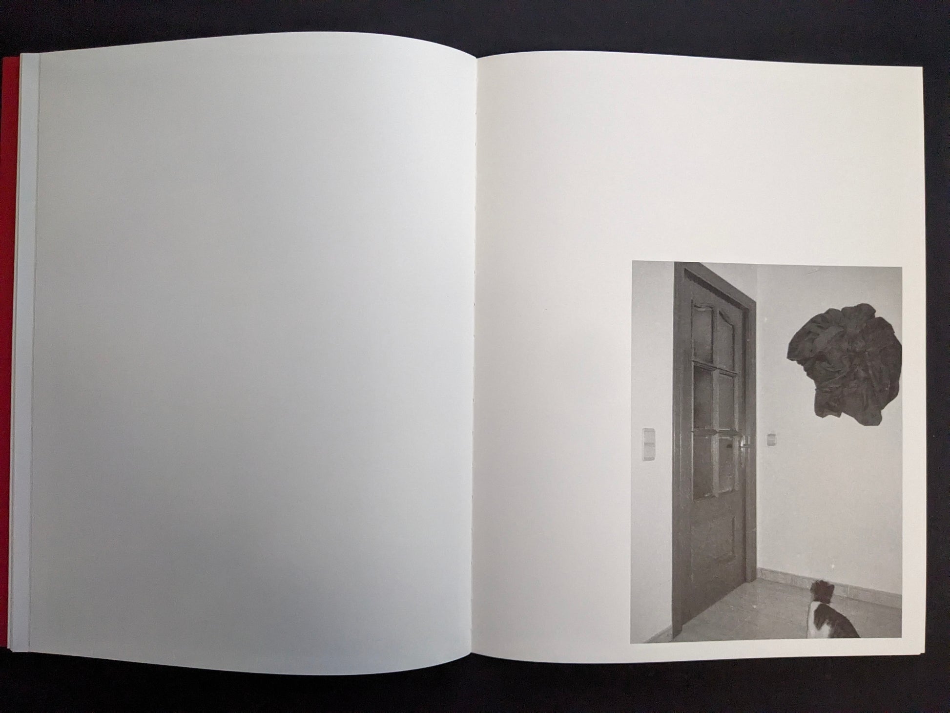 Interior spread with a small monochrome photo of a door and wall with a cat at the bottom edge.