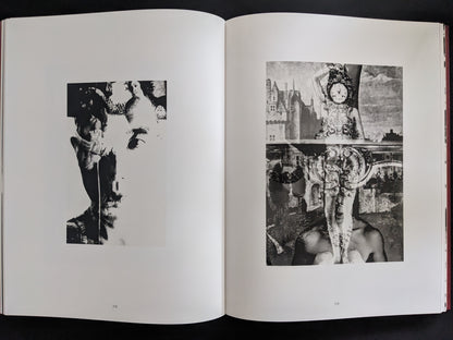 Two surreal photo-collages blending human figures and classical imagery, reflecting Hosoe’s experimental style.