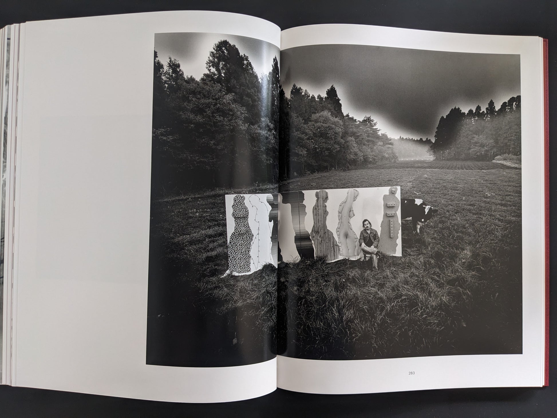 Black-and-white landscape photograph with inserted cut-outs of dress forms and a seated figure in a meadow.