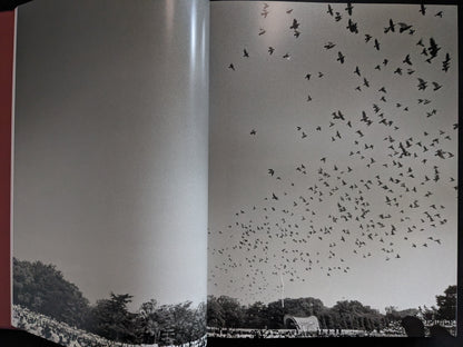 Double-page black-and-white photograph of birds flying in formation above a crowd