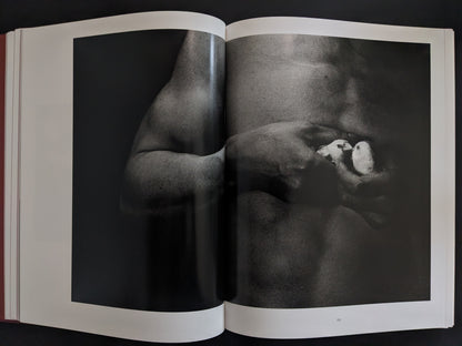 Close-up of muscular arms cradling two small birds in a black-and-white photograph
