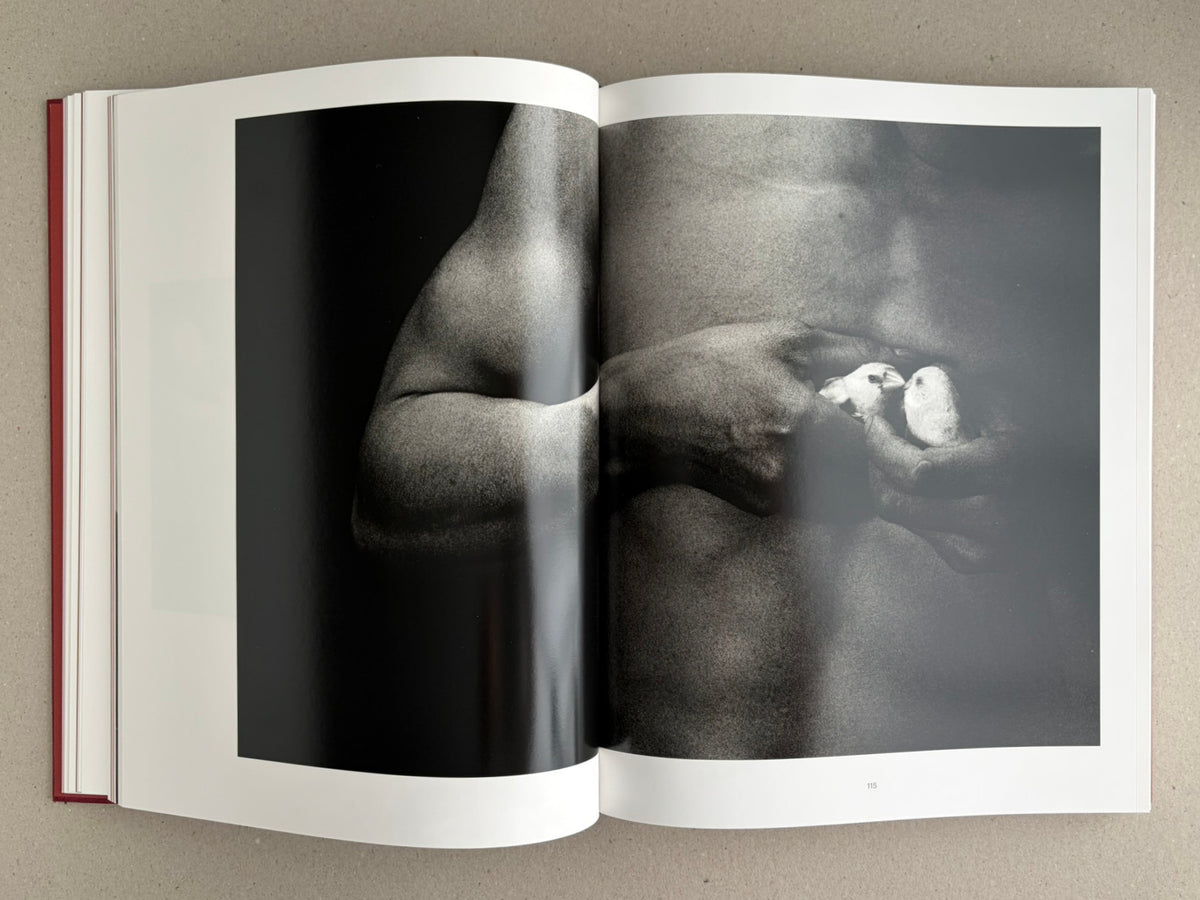 Open spread from Eikoh Hosoe, showing a black-and-white photograph across pages 114–115.