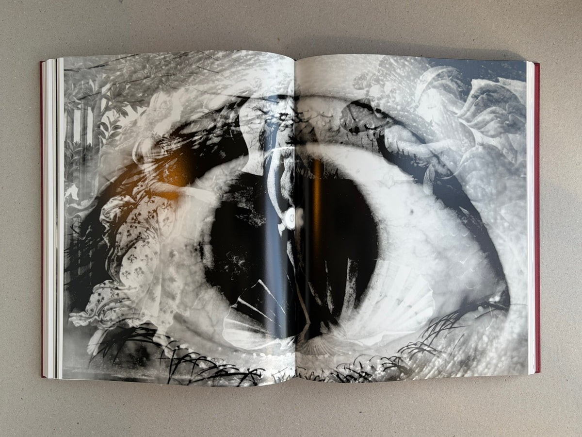 Open spread from Eikoh Hosoe, showing a black-and-white photographic image across the gutter.