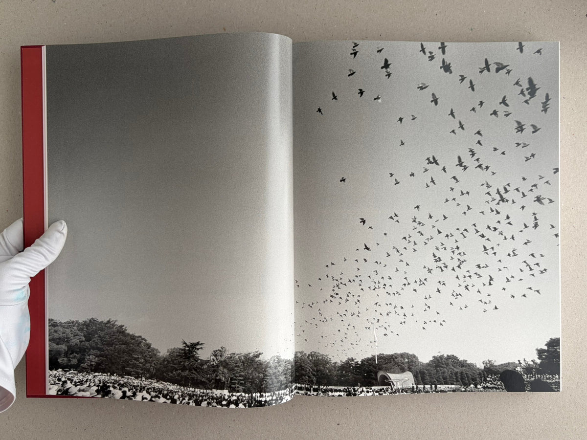 Open spread from Eikoh Hosoe, English edition, showing a black-and-white photograph of a large flock of birds over a landscape.
