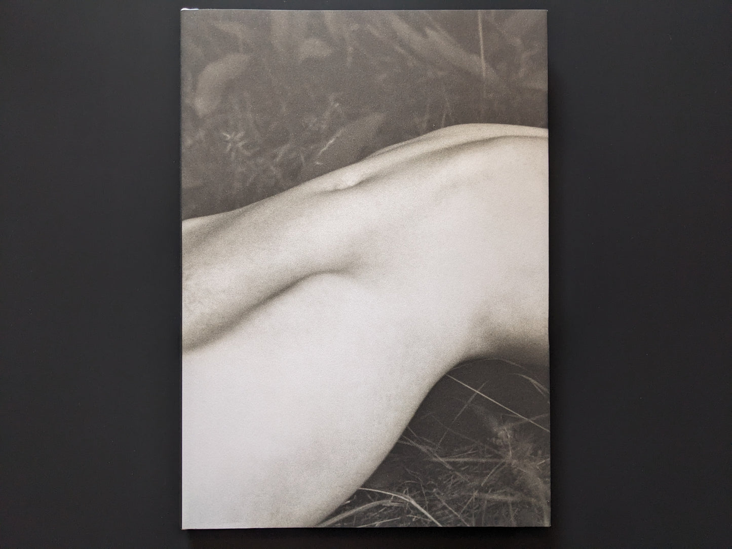 Front cover of ELV by Massimo Leardini showing a female torso in monochrome
