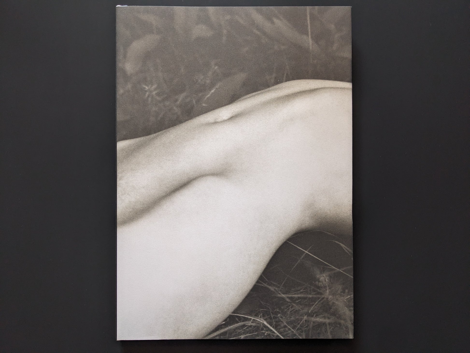 Front cover of ELV by Massimo Leardini showing a female torso in monochrome