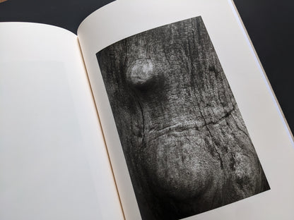 Close-up of a tree trunk resembling a female form from ELV by Leardini