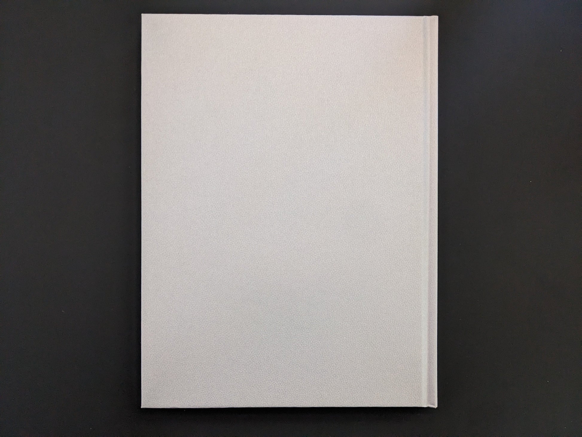 Back cover of Eros Lost photobook by Seiji Kurata, Zen Foto Gallery, 2020 edition.