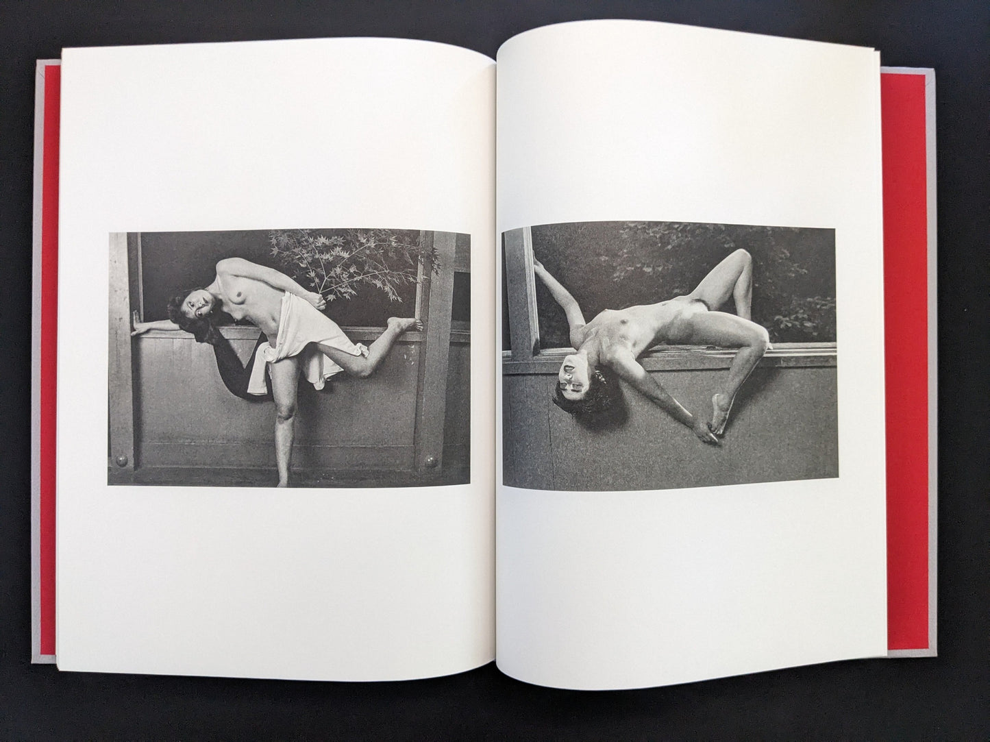 Open spread with a black-and-white nude couple in staged poses in Eros Lost.