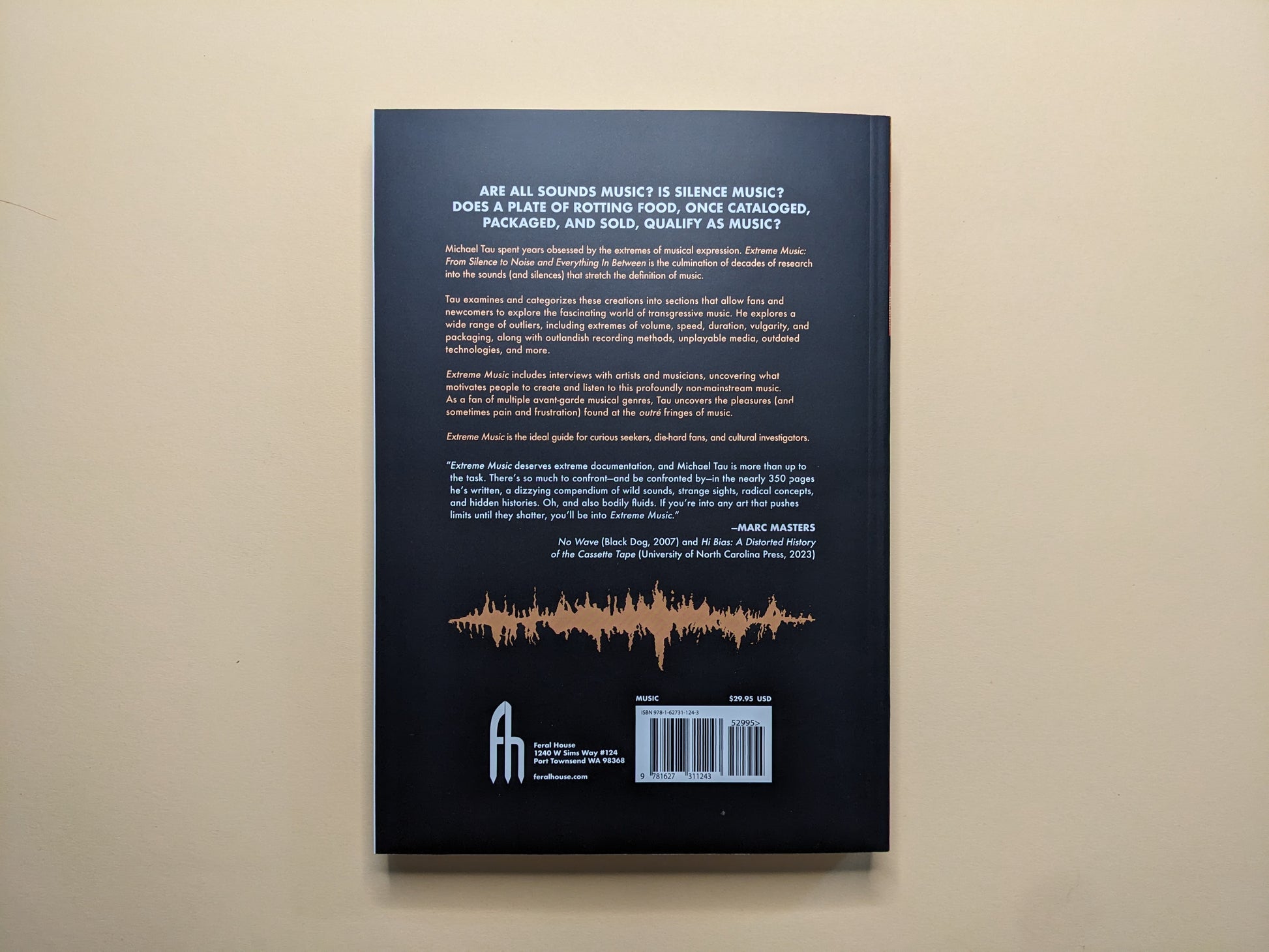 Back cover of 'Extreme Music' showing synopsis, publisher logo, and barcode, with orange waveform graphic.