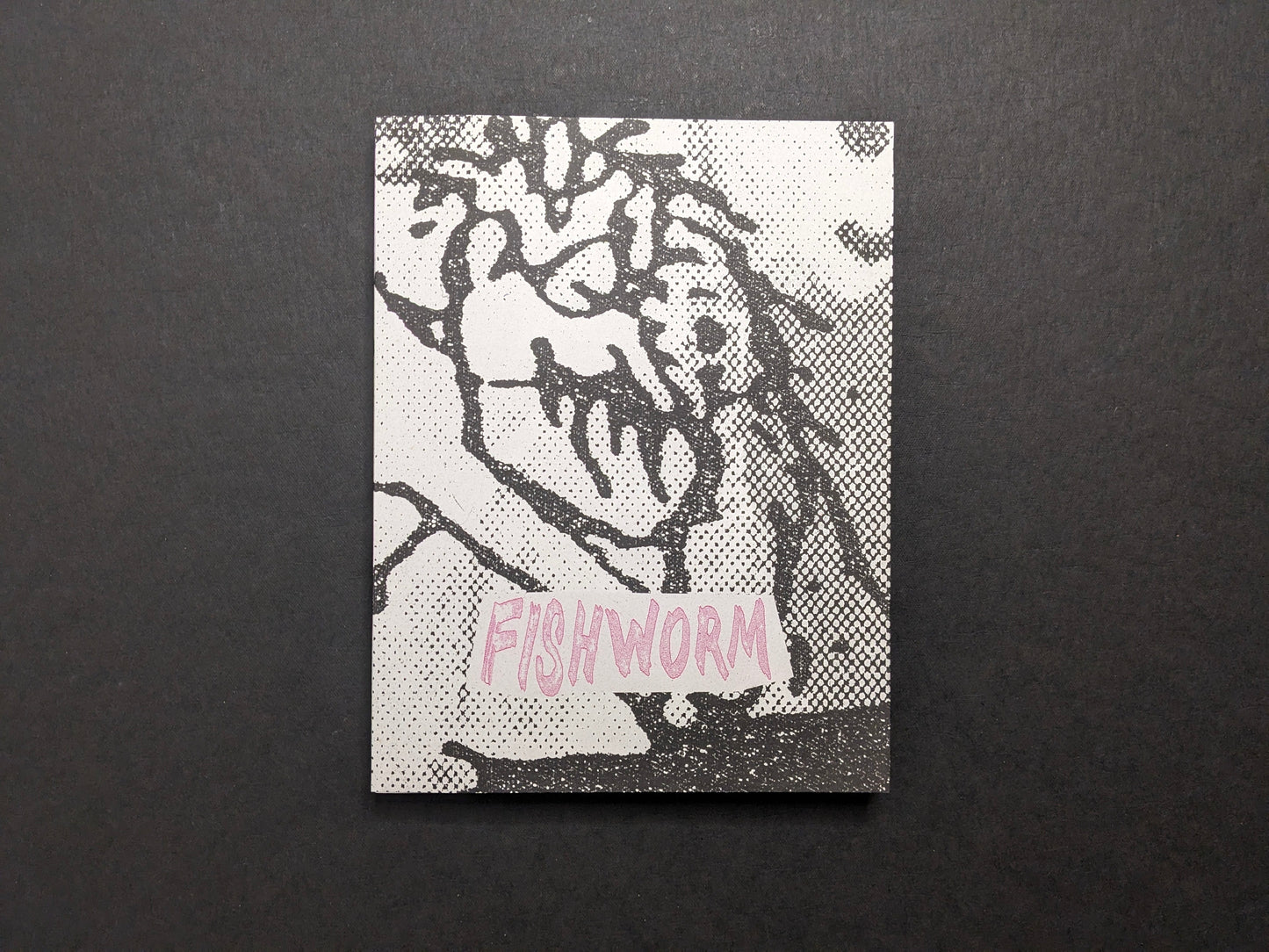 Fishworm photobook front cover by Pia Paulina Guilmoth and Jesse Bull Saffire, grainy black-and-white drawing on white.