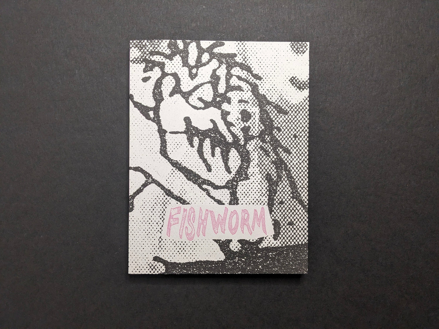 Fishworm photobook front cover by Pia Paulina Guilmoth and Jesse Bull Saffire, grainy black-and-white drawing on white.
