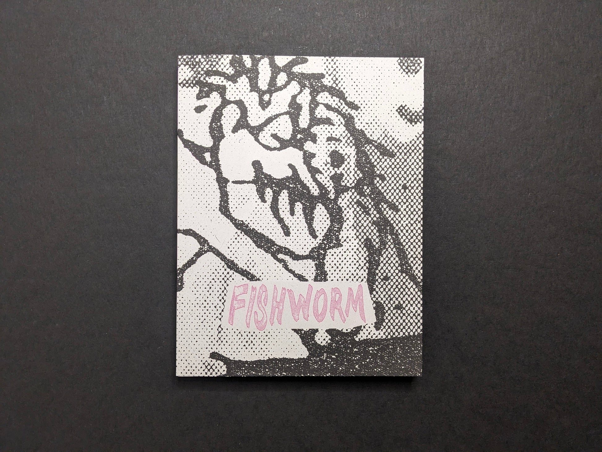 Fishworm photobook front cover by Pia Paulina Guilmoth and Jesse Bull Saffire, grainy black-and-white drawing on white.