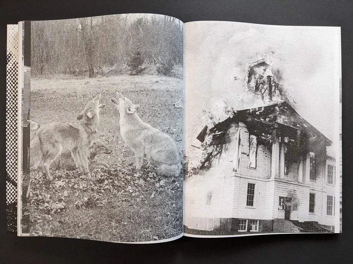 Interior spread showing several wolves lying on the ground in a textured landscape on the left and a damaged wooden house on the right.