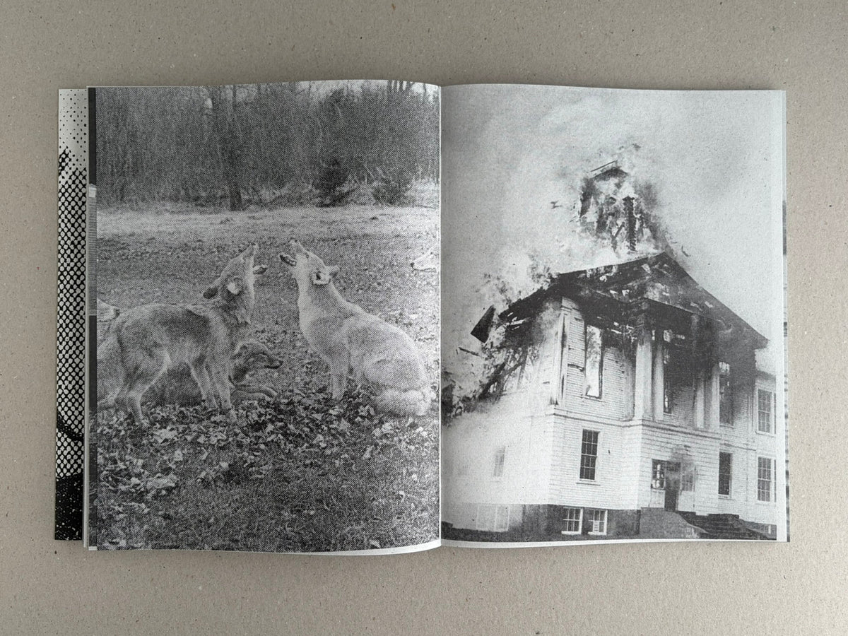 Open Fishworm spread in black and white: two deer in a field on the left page, and a house with a damaged roof on the right page.