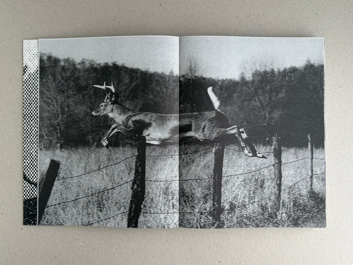 Open spread from Fishworm by Pia Paulina Guilmoth and Jesse Bull Saffire, showing a black-and-white deer leaping over a fence in a rural field.