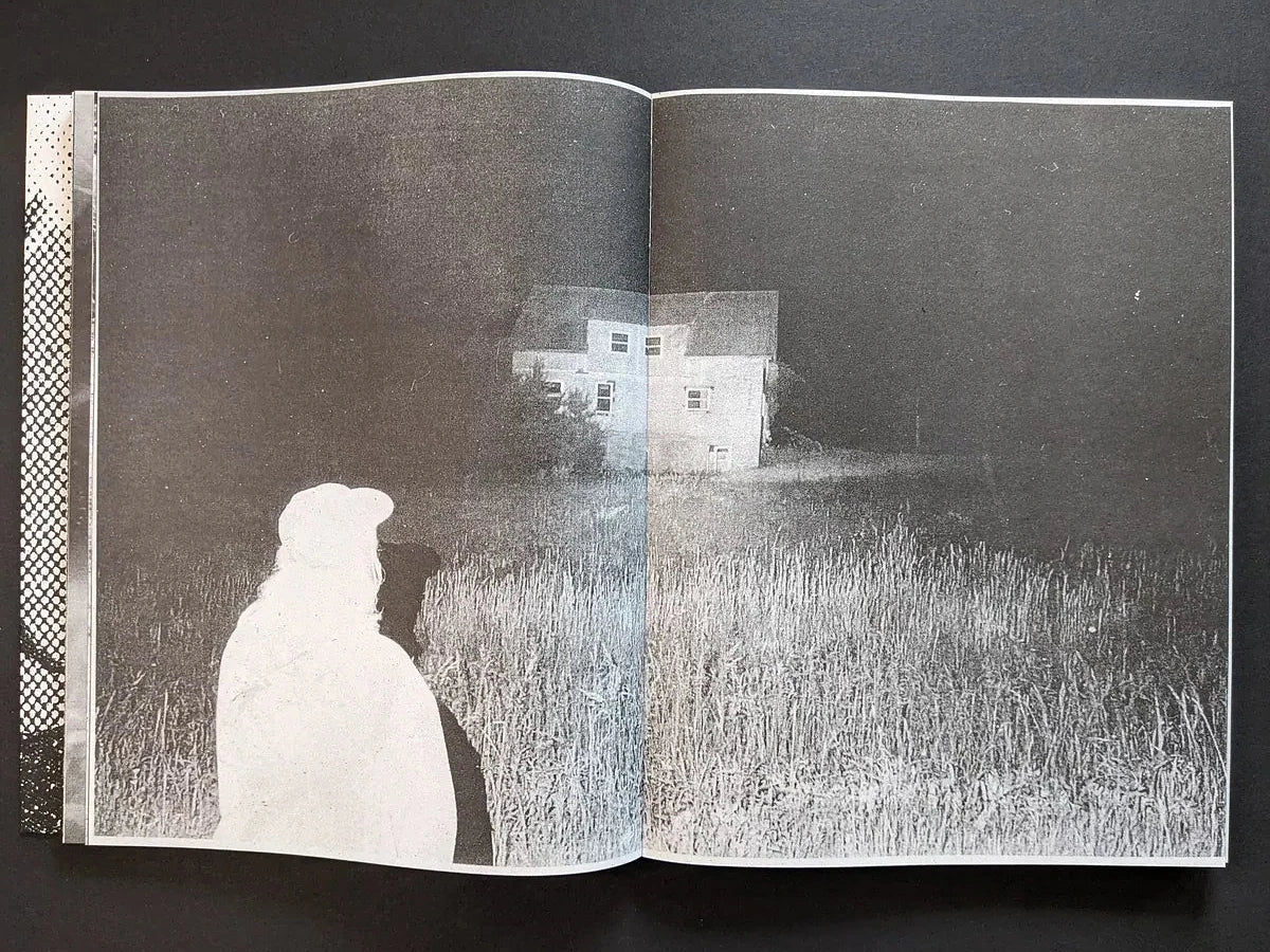 Interior spread from Fishworm showing a bright white figure in a field at night with a distant house in the background.