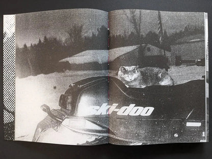 Interior spread from Fishworm showing a grainy black and white snowmobile scene with a cat in the vehicle at night.