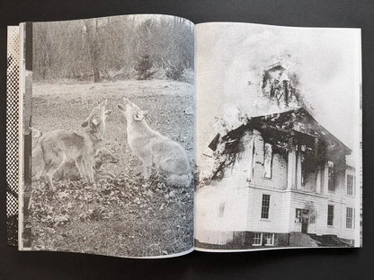 Interior spread from Fishworm showing several wolves lying on the ground in a textured landscape on the left and a damaged wooden house on the right.