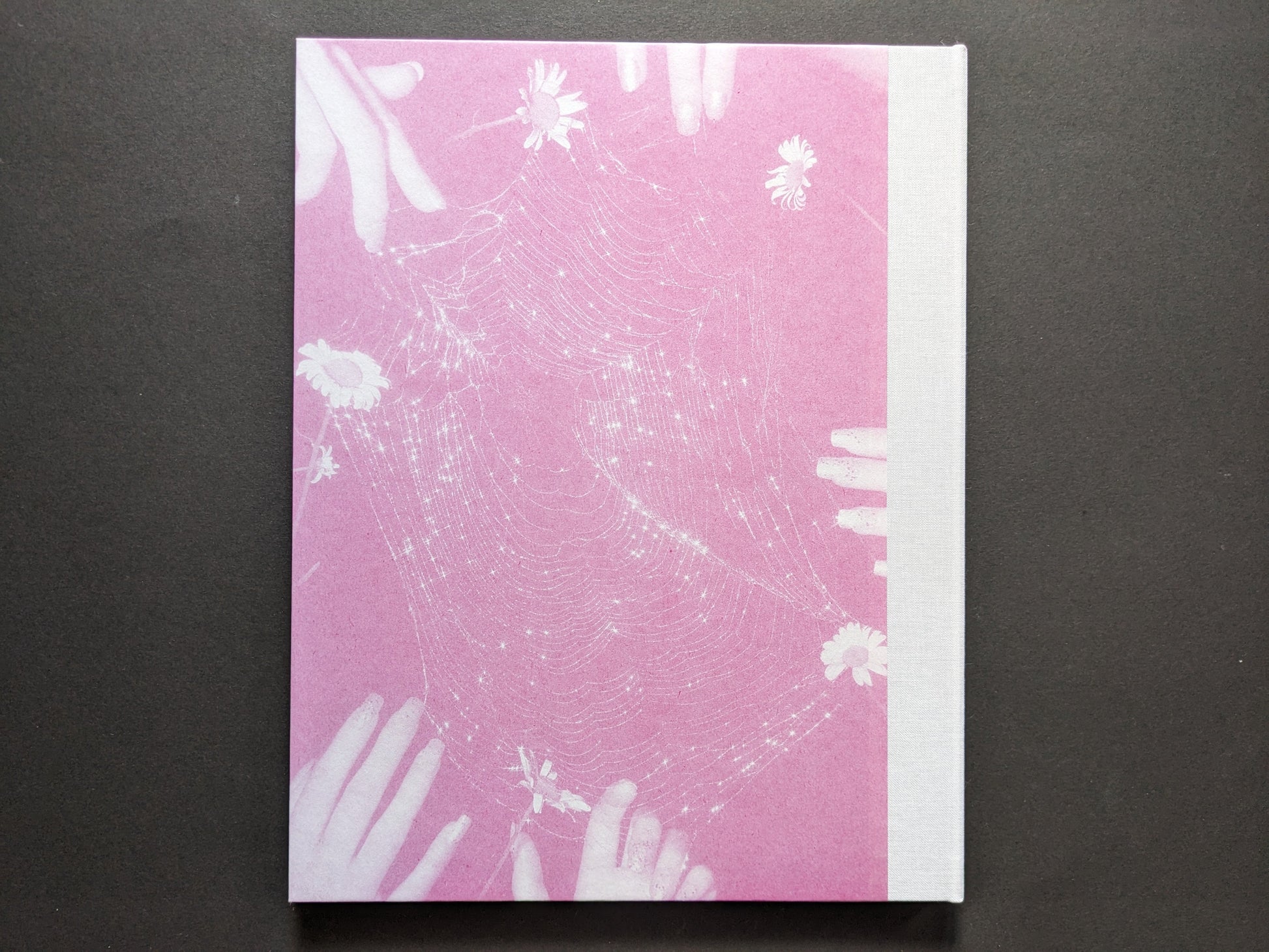 Back cover of "Flowers Drink the River" by Pia‑Paulina Guilmoth, showing subtle spiderweb embossing on pink craft paper with cloth spine
