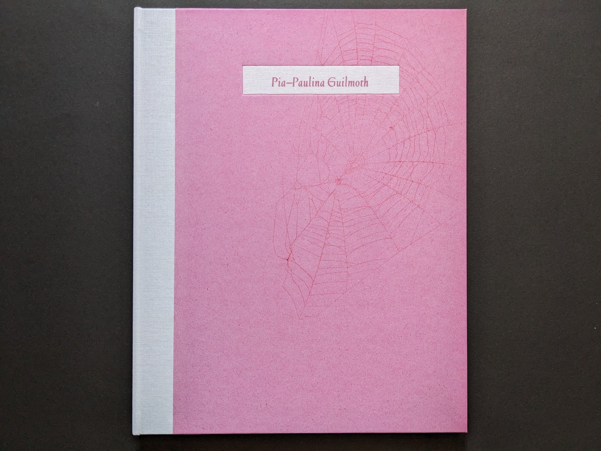 Front cover of "Flowers Drink the River" by Pia‑Paulina Guilmoth, featuring a delicate spiderweb design on pink paper