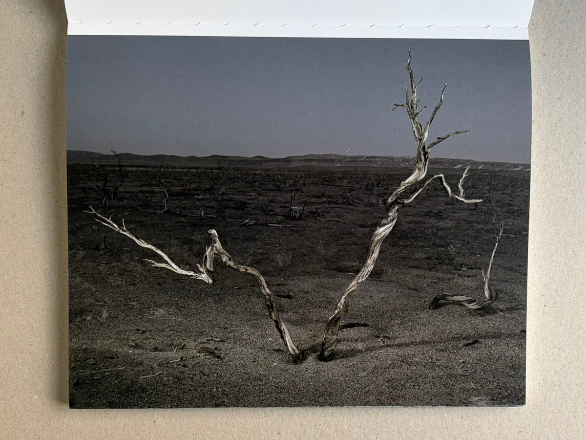 Glass Mountain by Michael Lundgren, open book page showing a pale stone ledge above a dark valley