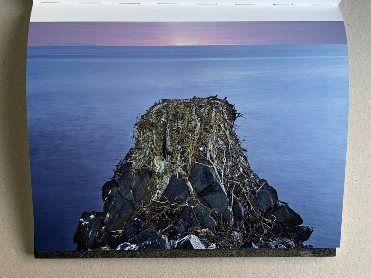 Glass Mountain by Michael Lundgren, open book page showing a rock covered with roots above a calm blue sea