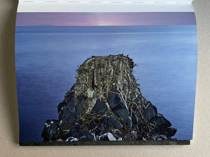 Glass Mountain by Michael Lundgren, open book page showing a rock covered with roots above a calm blue sea