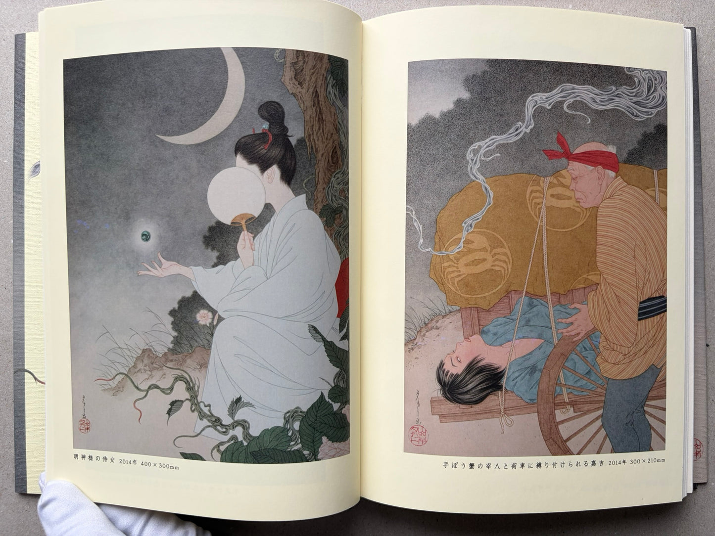 Grass Labyrinth by Takato Yamamoto, two full-colour illustrations on facing pages