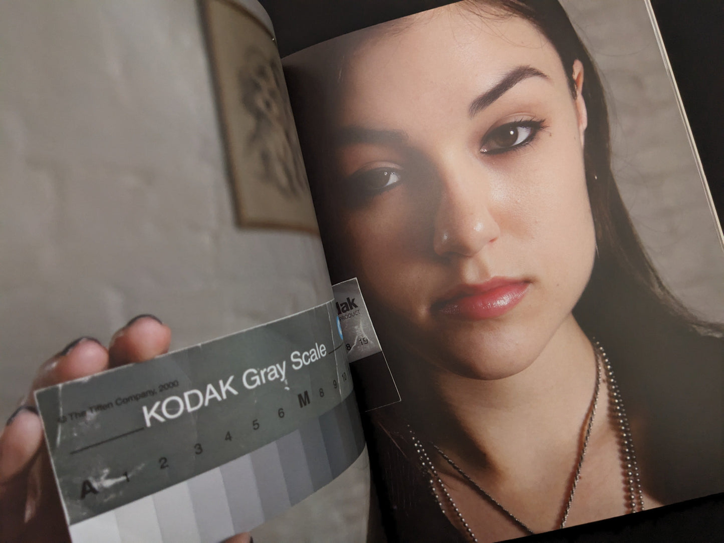 Interior spread from Grey Cards by Richard Kern with a close portrait and a Kodak gray scale card