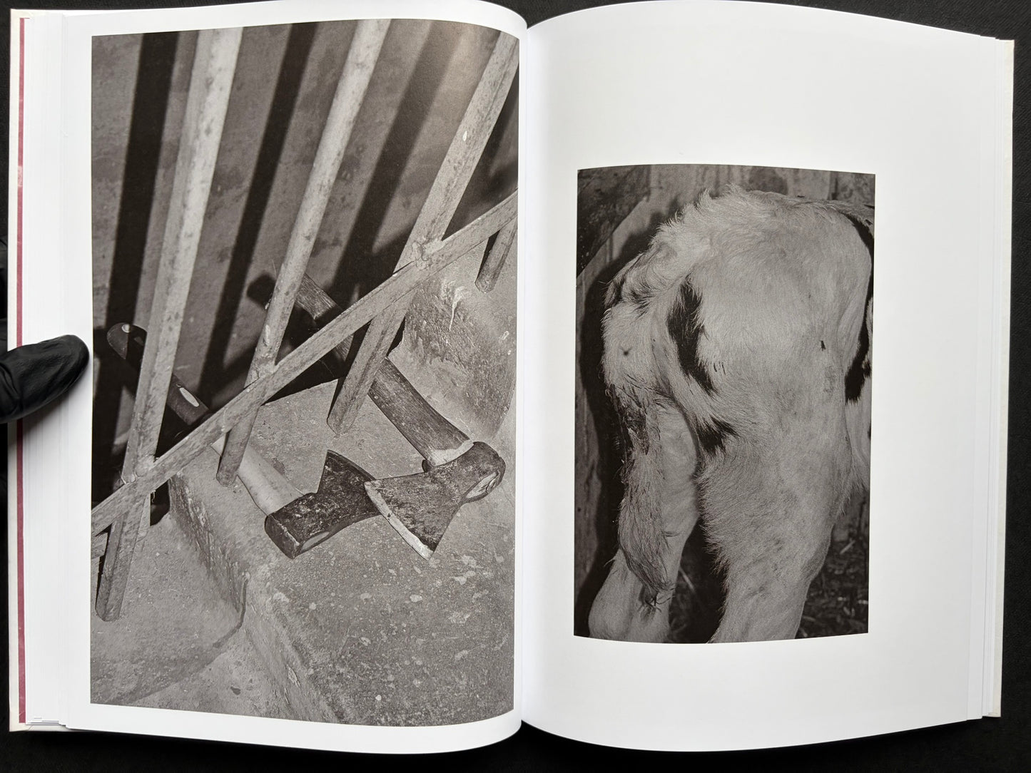 Gut Feeling by Kristina Rozhkova, open spread with a cage detail and the back of an animal
