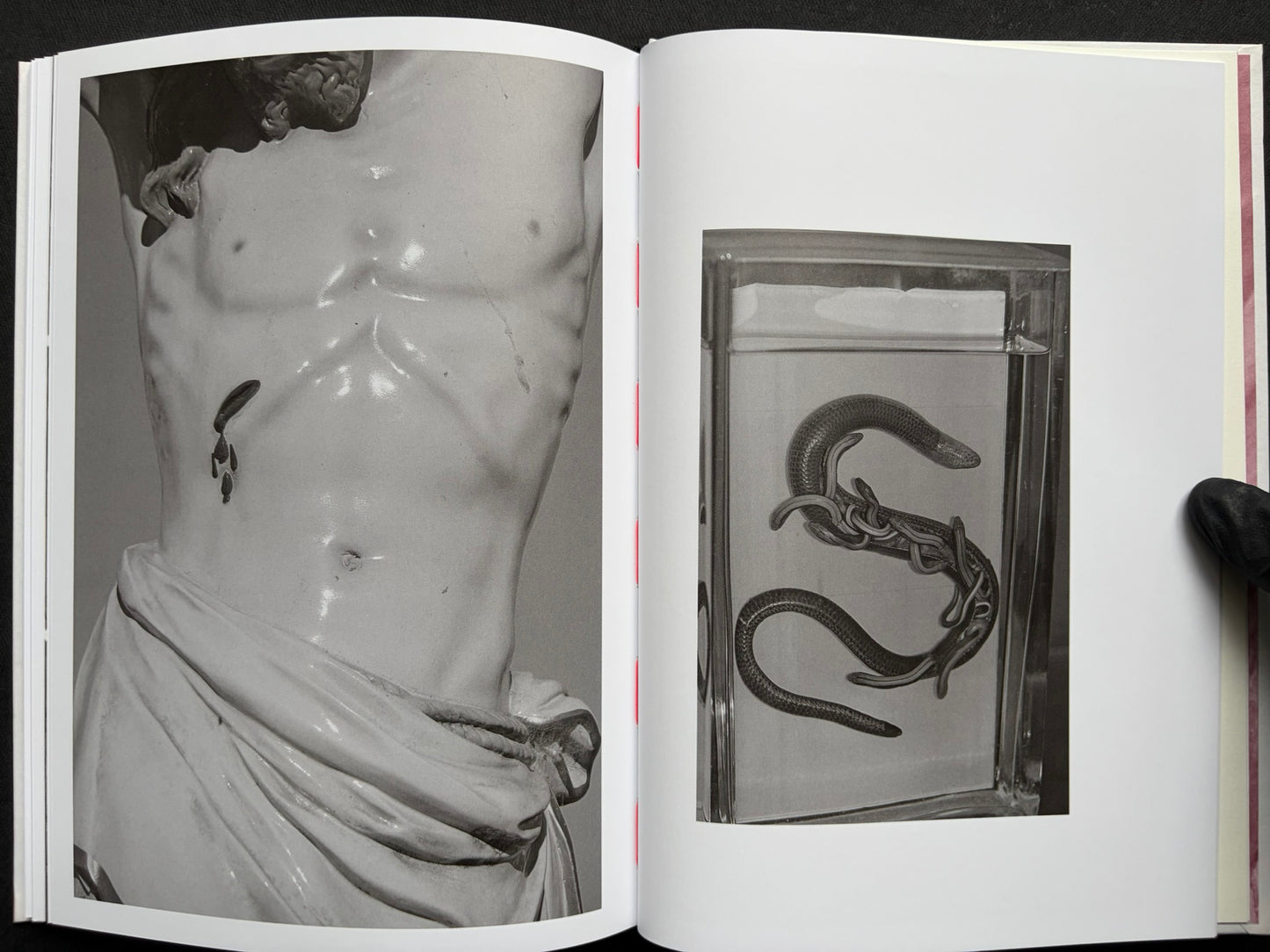 Gut Feeling by Kristina Rozhkova, open spread with a torso and a snake in a tank