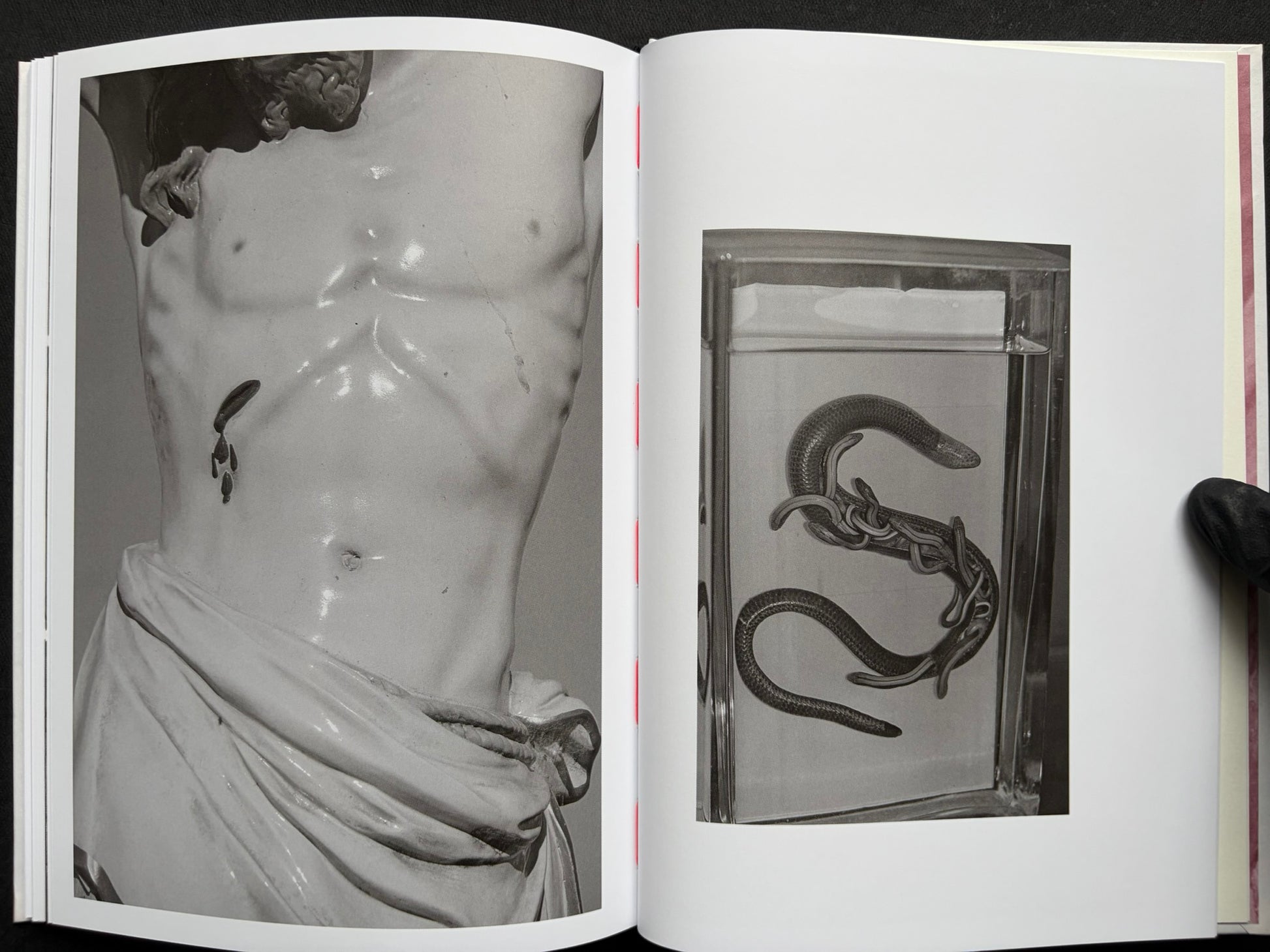 Gut Feeling by Kristina Rozhkova, open spread with a torso and a snake in a tank