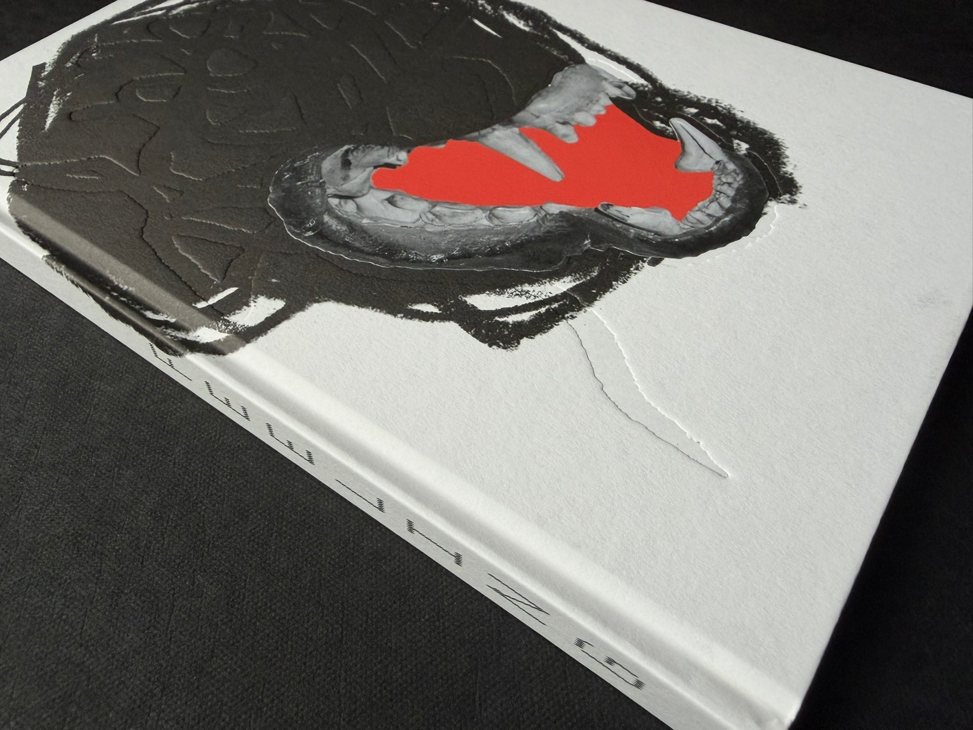 Gut Feeling by Kristina Rozhkova, cover shown at an angle
