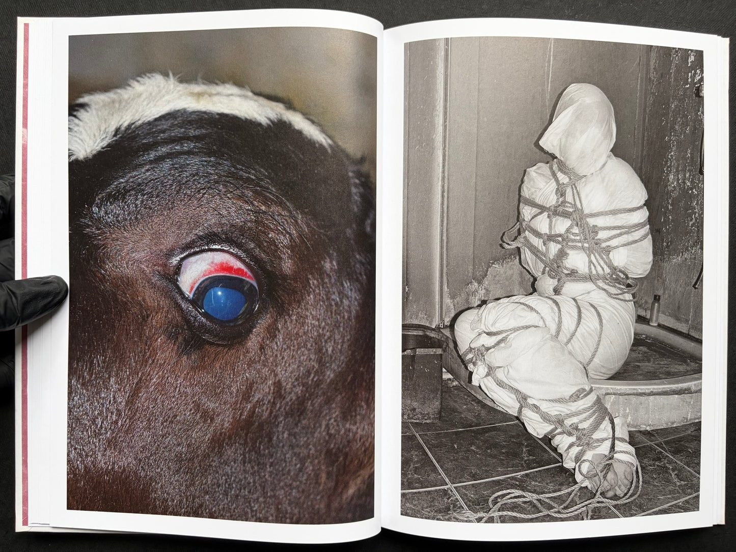 Gut Feeling by Kristina Rozhkova, close-up spread with a horse eye and a bound figure