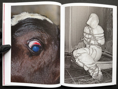 Gut Feeling by Kristina Rozhkova, close-up spread with a horse eye and a bound figure