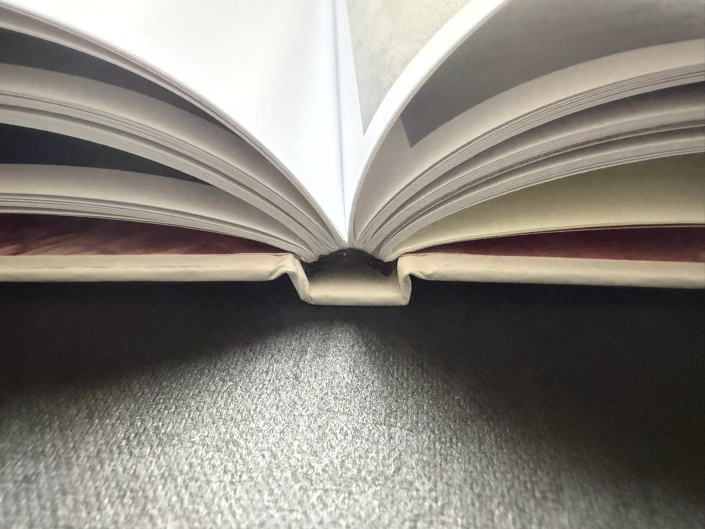 Gut Feeling by Kristina Rozhkova, open book showing the page edges and spine