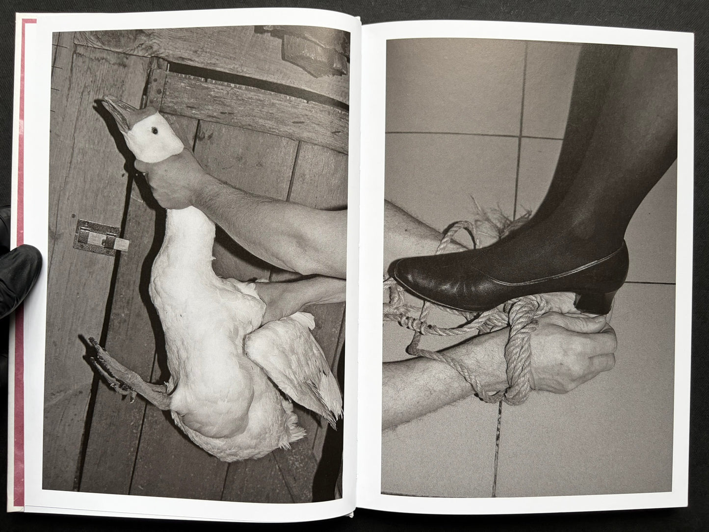 Gut Feeling by Kristina Rozhkova, open spread with a duck and a booted leg