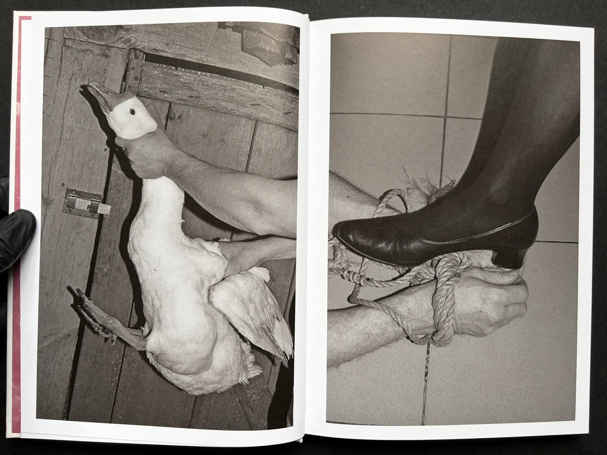 Gut Feeling by Kristina Rozhkova, open spread with a duck and a booted leg