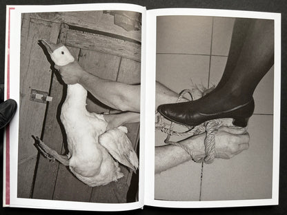 Gut Feeling by Kristina Rozhkova, open spread with a duck and a booted leg