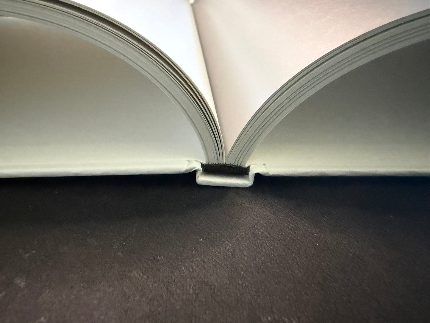 Open book showing the sewn binding and blank facing pages in Homo Ludens