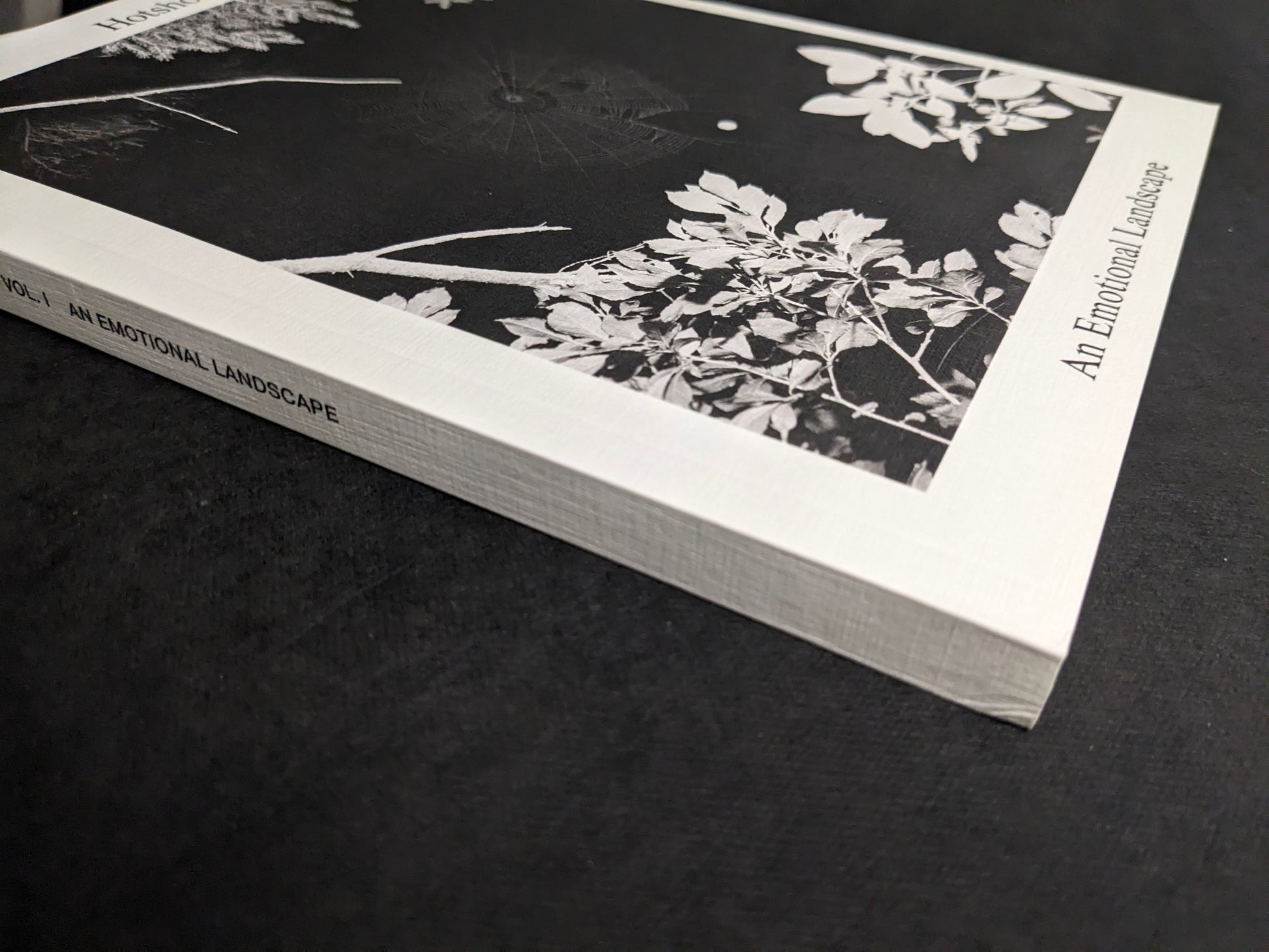 Spine view of Hotshoe Issue 209: An Emotional Landscape, marked Hotshoe International.