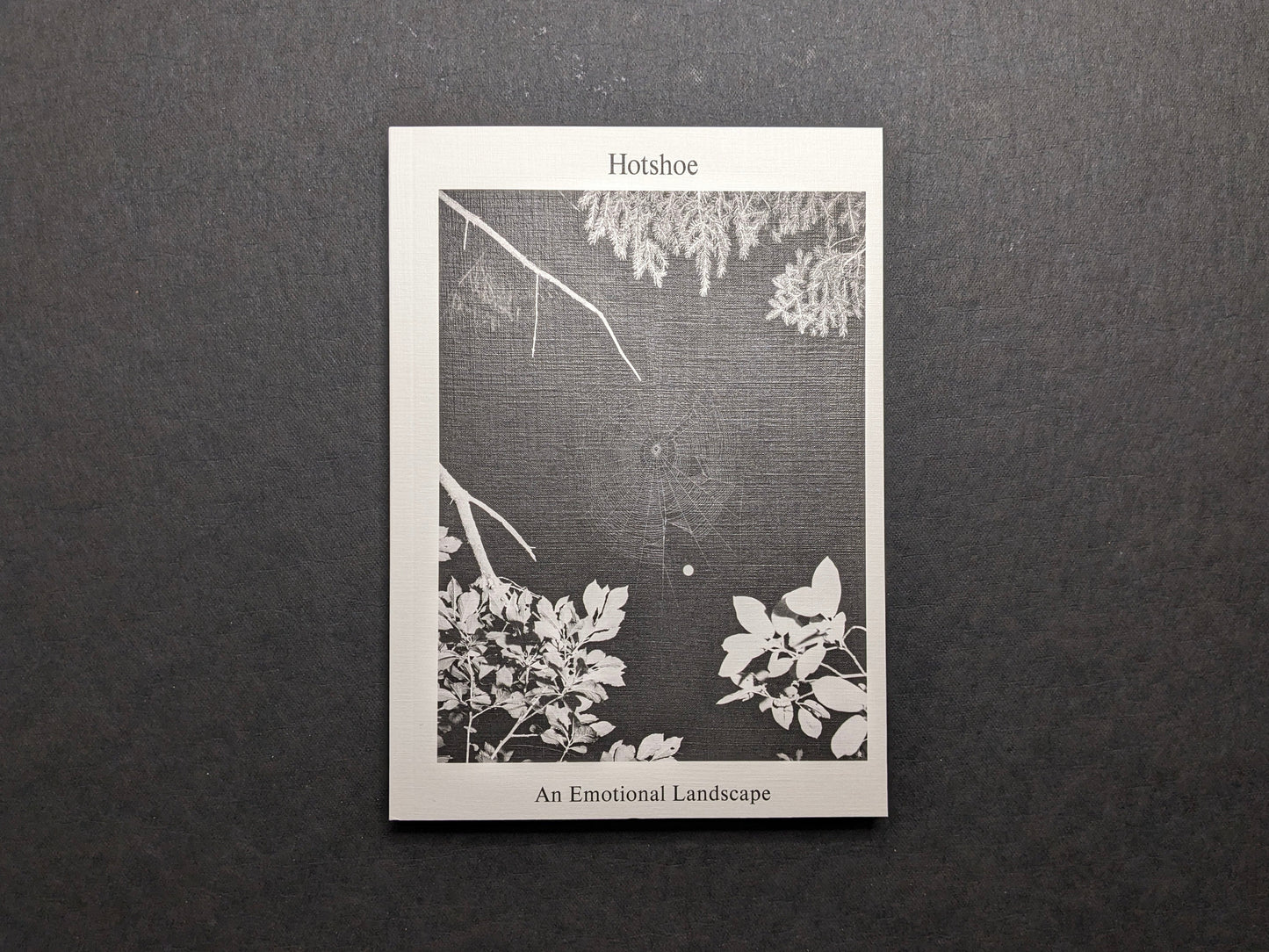 Front cover of Hotshoe: An Emotional Landscape featuring a spider web among branches.